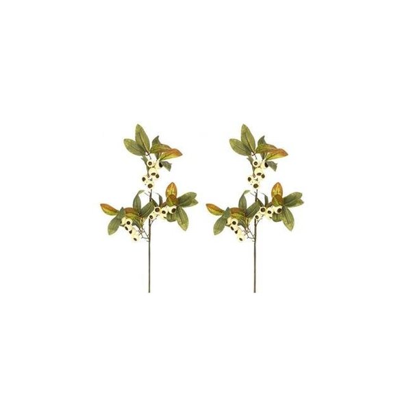 Adlmired By Nature Admired by Nature ABN3L001-CRM-2 29 in. Realistic Faux Loquat Fruit Spray Fall Decor; Cream - Set of 2 ABN3L001-CRM-2